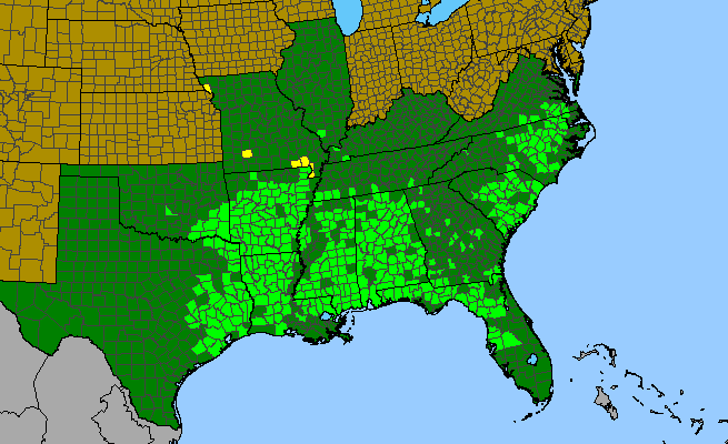 The range of Crataegus marshallii
